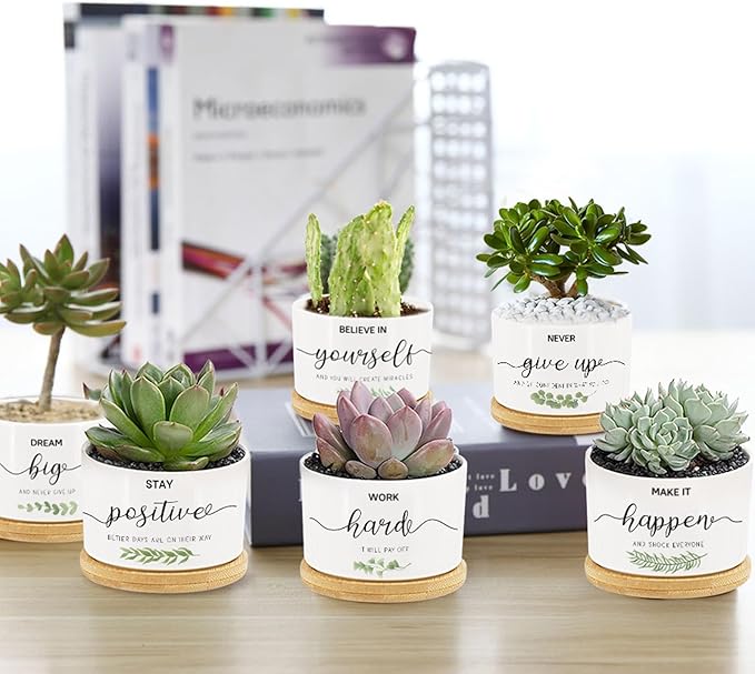 Tarklanda 6 Pcs Thank You Gift Succulent Pots Mini Ceramic Plant Pots with Bamboo Tray Flower Pots Planters for Teacher Coworker Employee Nurse Friends Appreciation, Plants Not Included
