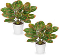 GnFlus Fake Plants Set of 2 Artificial Plants Faux Croton Plant with White Pots Fake Potted Plants Artificial Decor for Farmhouse Room Bathroom Bedroom Kitchen Office Table Desk Green and Red