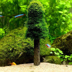 Aquarium Moss Holder for Growing Live Trees Shrimp Tanks Decoration Fish for Accessories