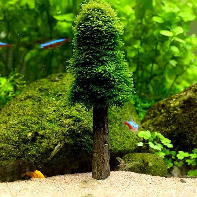 Aquarium Moss Holder for Growing Live Trees Shrimp Tanks Decoration Fish for Accessories
