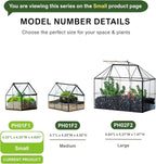 NCYP Mini Glass Terrarium with Lid - 4.25" x 4.25" x 4.92" Small House Shape Close Geometric Planter Pot for Mini Succulents Plant - Handmade, Home Garden Office Decor, Black (Terrarium Only)