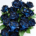 Rare Roses Seeds, 500Pcs, Sunset Colored Blooming Plants for Garden Flower Beds, Borders & Cut Flowers, Prolific Outdoor Rose Seeds Thriving in Full Sun & Well-Draining Soil (Blue)