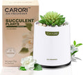 Artificial Succulent Plants with Subtle Gardenia Scent, Faux Indoor Plants for Home Decor, Small Fake Plant for Bathroom, Bedroom, Office Decor, Aesthetic Room Accessories, Housewarming Gift