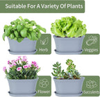 Oliz Windowsill Herb Garden Planter with Tray, Set of 6 Grey Oval Farmhouse Garden Pots for Indoor/Outdoor Plants (No Seeds)