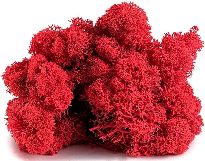 SuperMoss (21793) Reindeer Moss – Soft Preserved Moss for Home Decor, Crafts, Terrariums, Floral Design, and Wedding Decorations, 2,588 cu in, Red