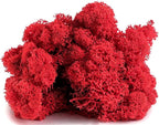 SuperMoss (23149) Reindeer Moss Preserved, Red, 8oz