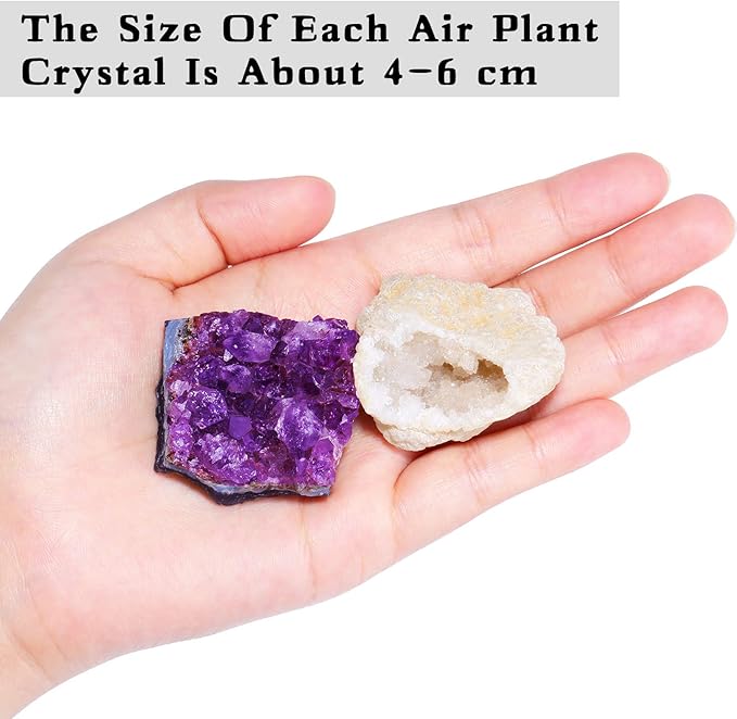 4 Pieces Tillandsia Air Plant Crystals Holder Small Air Plant Pot for Air Plants Home Decor Display (Air Plant Not Included)