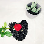 RIFNY Decorative Polished Rocks, 0.3" Gravel Rocks Crushed Crystal for Plant Flower Pots Succulents Cactus Bamboo Plant Vase Filler Aquarium Fish Tank Decorations (1.5 LB, Black Obsidian)