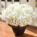 6 Bundles White Artificial Geranium Flowers for Outdoors Spring Decor Geraniums Silk Flowers UV Resistant Lifelike Faux Flowers for Spring Indoor Outdoor Garden Patio Porch Balcony Home Decoration