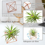 Hanging Air Plants Holders, 2Pcs Metal Air Plant Hangers for S-M Sized Air Plants, Himmeli Geometric Planter to Add a Sense of Style and Relaxation for Home Office Wedding (PinkGlod, 2pcs)