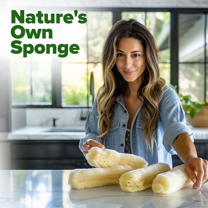 HOME GROWN Luffa Seeds 80+ Heirloom Non-GMO Loofah Gourd Seeds for Planting, High Germination, Natural Bath Sponges, Edible Vining Vegetable Garden, Harvest Young Gourd (Luffa aegyptiaca)