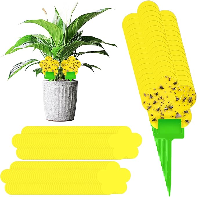 Qualirey 100 Pcs Fungus Gnat Traps Yellow Flower Shaped Plant Sticky Insect Traps Double Sided Bug Killer Fruit Fly Fungus Gnat Catcher with Green Stakes for Summer Indoor Outdoor Plants Kid Pet Safe