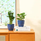 Sureasy Ceramic Plant Pots, 4.7 Inch Flower Pots for Indoor Plants, Succulent Pots with Saucer and Drainage Hole, Decorative Planter for Succulent, Cactus, Set of 4, Blue