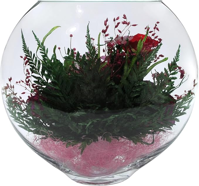 Fiora Flower | Long Lasting Real Roses in a Sealed Vase | Lasts up to 5 Years | Unique Present Gift (Enigma)