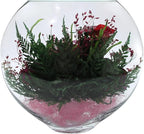 Fiora Flower | Long Lasting Real Roses in a Sealed Vase | Lasts up to 5 Years | Unique Present Gift (Enigma)