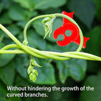 150PCS Plant Training Clips,90 Degrees Bud Trainer Clips Low Stress Training Clips Plant Stem Support Bud Bender for Flowers, Vegetables, Plant Gardening - Red and Green