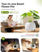 Smart Flower Pot, Smart Pet Planter Robot Guidance on Plant Care with Emoticons, Adorable Plant Companion with Alarm Clock, Living Room Desk Setup Gift