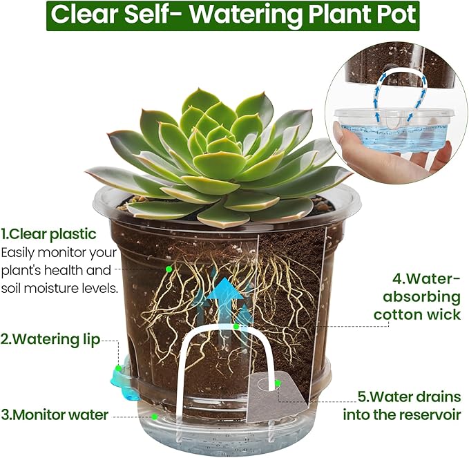 Bluepro 20 Pack 5 Inch Clear Self Watering Plant Pots with Bottom Water Tray & Watering Rope, Transparent Nursery Pots with Drainage for Seedlings, Herbs, and Houseplants
