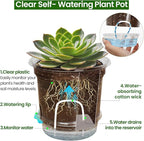 Bluepro 12 Pack 6.5 Inch Clear Self Watering Plant Pots with Bottom Water Tray & Watering Rope, Transparent Nursery Pots with Drainage for Seedlings, Herbs, and Houseplants