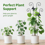 2 Pack 30 Inch Taller Plant Trellis for Potted Climbing Plants Indoor,Expandable Metal Garden Trellis for Climbing Plants,Flowers Vine Ivy, Sturdy Houseplant Support for Potted Plants with Ties