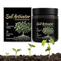 Soil Activators, Organic Soil Activator & Plant Fertilizer, Supports Root Development & Nutrient Absorption for Garden, Lawn, Indoor & Outdoor Plants 200g