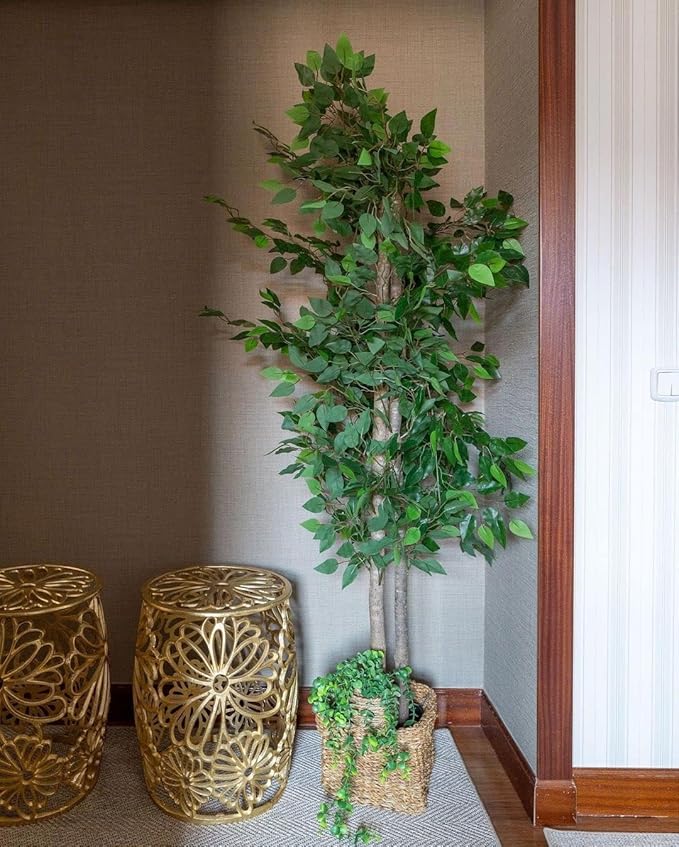 BLAINE | Ficus 71in | Decorative Artificial Plants | Large Artificial Plant | Artificial Plants for Indoor/Outdoor use | Realistic Decorative Artificial Plant for Home