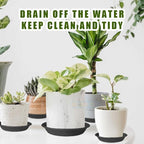 Plant Saucer 6.6 inch (5.2" at Base) Pack of 6, Thick Strong Durable Plastic Planter Water Catcher Trays for Pots Indoors Potted Flower Bottom Drainage Catch Plate Drain Drip Dish for Outdoor