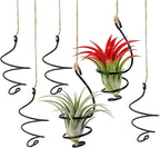 6 Pcs Hanging Air Plant Holders with Jute Ropes, Soilless Air Plant Stand Adjustable Rust-Resistant Iron Rings for Home Office Decor
