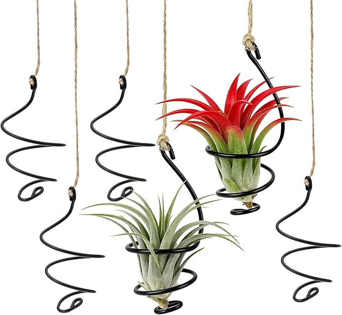 6 Pcs Hanging Air Plant Holders with Jute Ropes, Soilless Air Plant Stand Adjustable Rust-Resistant Iron Rings for Home Office Decor