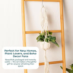 Nook Theory 6-Pack Macrame Plant Hangers with 12 Hooks - Hanging Planters for Indoor Plants, Boho Macrame Hangers Indoor Outdoor, Decorative Plant Hanger Indoor (Light Gray)