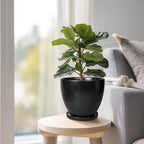 Ceramic Pots for Plants - 6.8 Inch Plant Pot with Drainage Hole and Saucer, Succulent Round Flower Planters for Indoor, Home Decor, Black