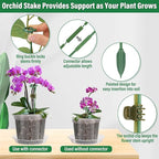12 Pack Plastic Orchid Pots with Holes, 4, 5, 6 Inch Clear Orchid Pots for Repotting with Saucers Drainage and Plant Stakes, Large Small Breathable Orchids Planter Plant Pot