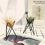 Pack of 4 Air Plant Holder Tillandsia Base, Modern Geometric Metal Air Plant Stand Airplant Display Rack, Tabletop Big Streptophylla Plant Display Table Hand for Home Office Decoration Supplies