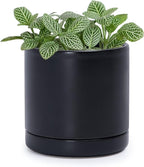 D'vine Dev 3.5 Inch Ceramic Planter Pot with Drainage Hole and Saucer, Indoor Cylinder Round Planter Pot, Black, 94-O-A-2