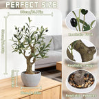 TOARTi Artificial Olive Tree Potted Plant with Stone Pot, 20.5" Tall Japanese Bonsai Tree Faux Plants Desk Plant, Realistic Greenery Decor for for Home Bedroom Bathroom Office Desk