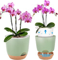 7.2 Inch Self Watering Orchid Pots for Indoor Plants,Macetas para Orqudeas,Flower Pots for Indoor Plants with Holes（Green）