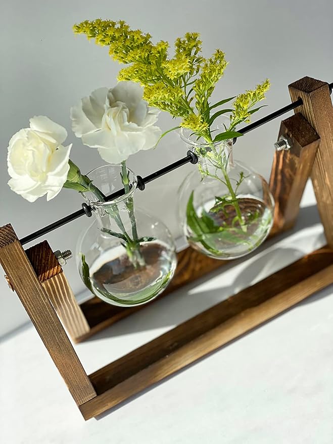 Kingbuy Glass Desktop Planter with Retro Wooden Stand and Plant Terrarium vase (2 Bulbs) for Indoor Office Desk Decor Accessories
