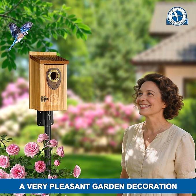 SISTERBIRD Pack of 2 Bluebird Houses for Outside, Premium Wooden Bird House, Bluebird House for Outdoor, Courtyard Decoration Bird Nest, Bluebird Finch Swallow Wren Chickadee