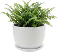 MyGift 7 Inch Round White Ceramic Plant Pot with Drainage Hole and Attached Saucer, Modern Decorative Embossed Sunburst Planter Container for Indoor Home Garden