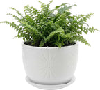 MyGift 7 Inch Round White Ceramic Plant Pot with Drainage Hole and Attached Saucer, Modern Decorative Embossed Sunburst Planter Container for Indoor Home Garden