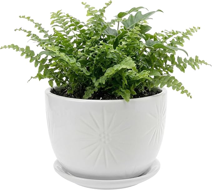 MyGift 7 Inch Round White Ceramic Plant Pot with Drainage Hole and Attached Saucer, Modern Decorative Embossed Sunburst Planter Container for Indoor Home Garden