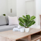 GnFlus Fake Plant Artificial Fiddle Leaf Fig Plant in White Pot for Indoor Outdoor Farmhouse Living Room Shelf Home Office Decor