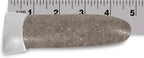 Jobe’s Palm Fertilizer Spikes, Easy Plant Care Fertilizer for Palm Trees and Plants, 5 Count