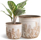 SURE YUESI for Mom from Daughter or Son, Set of 2 Ceramic Planters 4.7” & 5.7”, Vintage Brown Rustic Flower Pots Without Drainage Hole, Decorative Indoor Plant Pots for Home Decor, Living Room