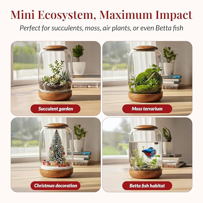 Exclusive Glass Terrarium, Beautifully Enhanced by a Natural Wood lid and Base. Excellent for Plants and Decoration, for Home or Office: Size: 8.7" Tall (22 cm) by 6.3" Wide (16 cm)
