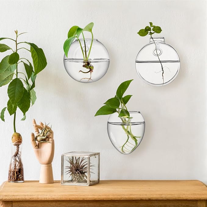yarlung Set of 6 Wall Hanging Planter Terrarium, Clear Glass Plant Vase Wall Mount for Propagating Hydroponics Plant, Indoor Air Plants, Stylish 6 Shapes (Plants Not Included)