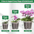 12 Pack Plastic Orchid Pots with Holes, 4, 5, 6 Inch Clear Orchid Pots for Repotting with Saucers Drainage and Plant Stakes, Large Small Breathable Orchids Planter Plant Pot