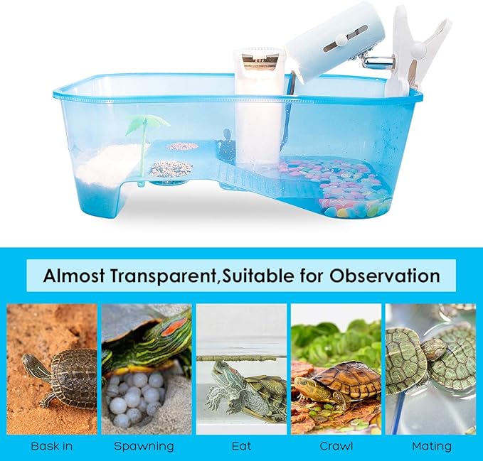 Turtle Tank with Multi-Function Areas, Easy Assembly, Ideal for Small Turtles & Reptiles, Includes Plastic Tree & Fishing Net