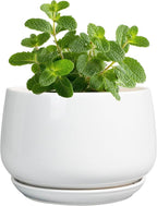 G EPGardening Ceramic Plants Pots - 4 inch Succulent Pots for Indoor Outdoor, Small Planter with Drainage Hole & Saucer, Round Planter, Modern Flower Pot, Office Decor, Plant Lovers Gifts, White