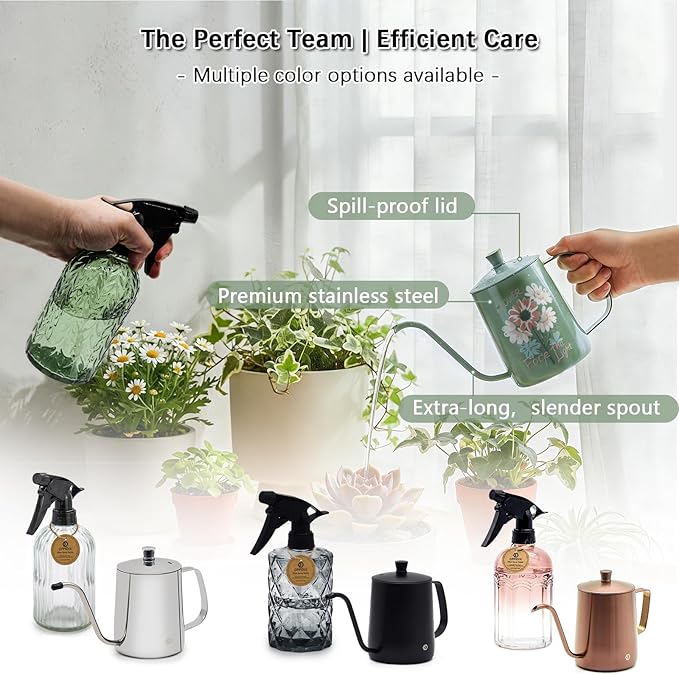 OFFIDIX Watering Can for Indoor Plants,Long Spout Metal Stainless Steel 21 oz Small Indoor Plant Watering Can with 14 oz Glass Plant Mister Spray Bottle for Inside